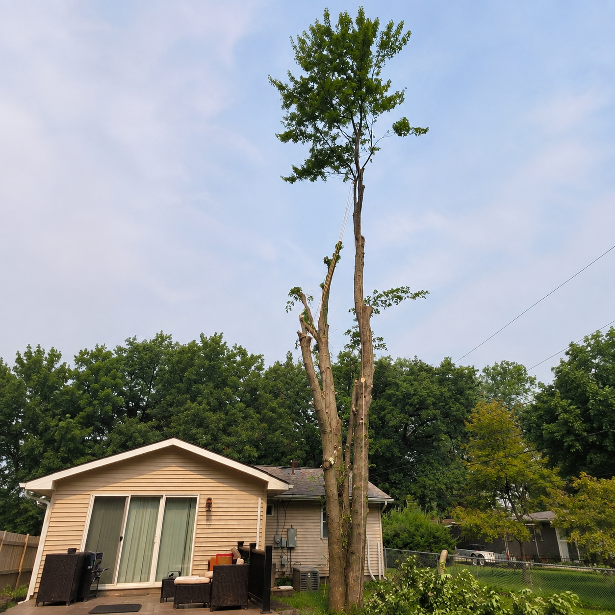 Before Image